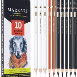 Juego de 10 lápices profesionales de color carbón para dibujar